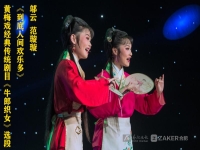 小辭店全集黃梅戲嚴鳳英(小辭店嚴鳳英原黃梅戲小辭店來來來)