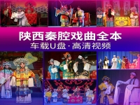 陜西秦腔介紹(陜西秦腔介紹200字)