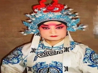 京劇里的生角是什么(京劇里的生角是什么角色)