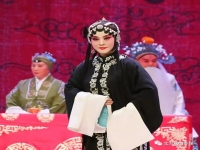 韓俊卿的河北梆子(韓俊卿的河北梆子打金枝全劇)