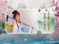 越劇紅樓夢葬花吟王文娟唱(越劇紅樓夢選段葬花王文娟演唱)