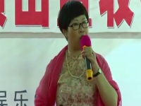 胡中花河南墜子全部(胡中花河南墜子全集45集)