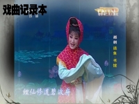 越劇追魚露真王志萍鄭國鳳(越劇追魚露真王志萍鄭國鳳演唱)