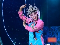 曲劇名段欣賞(曲劇名段欣賞陳三兩表演 張新芳)