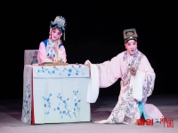 豫劇陳姑她多不幸(陳姑身事多不興豫劇)