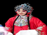 京劇本應(yīng)當(dāng)李勝素(京劇本應(yīng)當(dāng)李勝素唱教程)