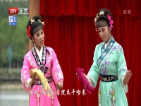 越劇張羽煮海唱詞(越劇張羽煮海的劇情簡介)