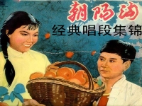 徐俊霞豫劇朝陽溝下山(徐俊霞演唱的現代豫劇朝陽溝)