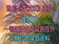 豫劇馬琳的李雙雙唱段(豫劇馬琳的李雙雙唱段視頻)