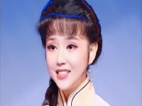 黃梅戲表演唱(黃梅戲表演唱春風送暖)