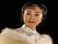 河北梆子絕對有戲大全(河北梆子絕對有戲名家名段演唱會)