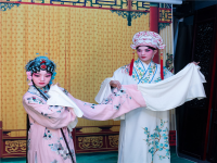 任哲中秦腔戲曲大全(秦腔表演藝術(shù)家任哲中)