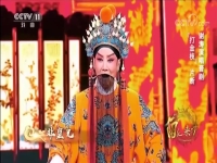 豫劇打金枝選段有為王(豫劇打金枝選段有為王唱詞)