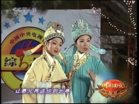 黃梅戲十八相送視頻(黃梅戲十八相送歌詞完整版)