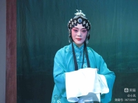 評劇王冠麗訪談(評劇名家王冠麗簡介)