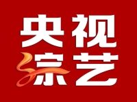中央十一臺戲曲頻道今晚節目表(中央十一臺戲曲頻道今晚節目表演)