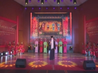 廬劇秦雪梅觀畫(廬劇秦雪梅觀畫丁玉蘭演唱)