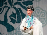 河南墜子趙翠英長篇墜子(河南墜子趙翠英長篇墜子近代史)
