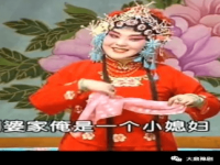 評劇柜中緣全劇(柜中緣曲劇全集劇本)