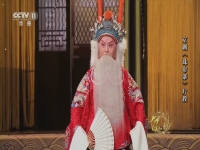 楊少彭京劇演唱會(huì)(京劇楊少彭打虎上山換裝)