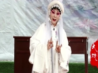 豫劇mp4下載(豫劇mp4下載百度云)