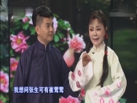 黃梅戲啼笑姻緣主題曲(啼笑姻緣黃梅戲選段原唱簡介)