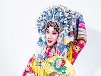 豫劇韓鵬飛簡介(豫劇韓鵬飛簡介百度百科)