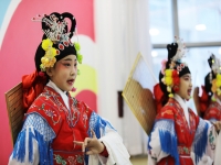 京劇的表演四種藝術手法(京劇的表演四種藝術手法分別是什么)