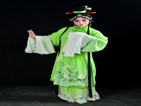 河北梆子斬秦英(河北梆子秦英三哭殿)