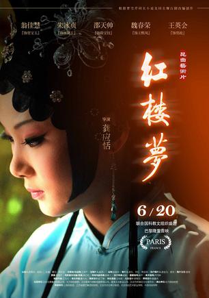 黃梅戲電影300部全集 《紅樓夢》導演談電影無人問津： 哪怕有人罵一罵也好