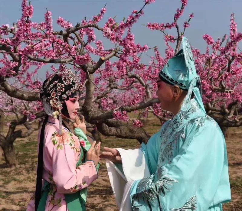 人面桃花秦腔原唱 李小鋒秦腔戲歌《人面桃花》火到“油管”    網(wǎng)友翻譯英文字幕版
