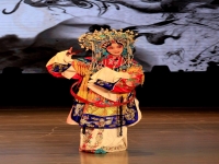 秦海璐唱京劇貴妃醉酒(秦海璐京劇學的是哪一行)