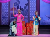 孫淑林是豫劇什么戲(孫淑林是豫劇什么戲里的人物)