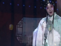 京劇反串演唱會視頻(京劇反串演唱會視頻播放)