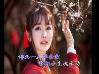 人面桃花相映紅秦腔(人面桃花相映紅秦腔唱段)