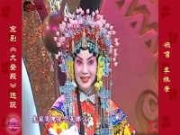李維康演唱的京劇名段(李維康演唱的京劇名段光輝照兒永向前)