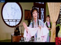 越劇有了金有了銀唱段金靜(越劇有了金有了銀唱段金靜伴奏)
