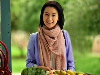 黃梅戲婆媳情深全集(黃梅戲婆媳情劇情介紹)