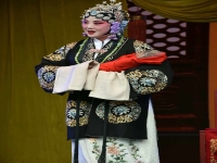 孫紅麗蘆花晉劇唱段(晉劇蘆花孫紅麗郭競聰)