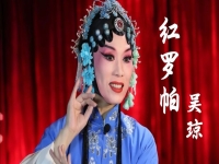 吳瓊張輝黃梅戲經(jīng)典唱段(2019年黃梅戲吳瓊訪談視頻)