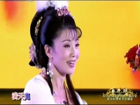 黃梅戲《孟麗君》韓再芬(黃梅戲孟麗君韓再芬主演 第9集)