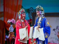 新一代越劇十姐妹(新一代越劇十姐妹演員)