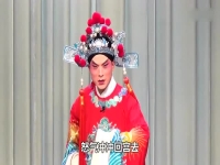 韓鵬飛唱豫劇(韓鵬飛唱豫劇打金枝)