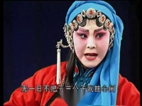 秦腔名家名段折子戲(秦腔名段折子戲曲視頻)