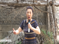 豫劇秋江河下水悠悠詞(豫劇秋江河下水悠悠唱腔)