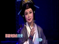 潮劇袁曼琪簡介(潮劇袁曼琪個人資料)