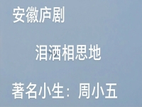 周小五全部廬劇全集在線播放的簡單介紹