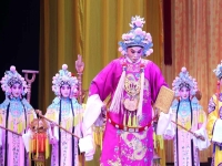 晉劇貍貓換太子(晉劇貍貓換太子第一本)