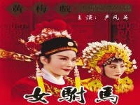 女駙馬黃梅戲故事(女駙馬黃梅戲故事梗概)