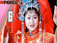 馬蘭黃梅戲經(jīng)典(馬蘭黃梅戲經(jīng)典唱段中狀元)